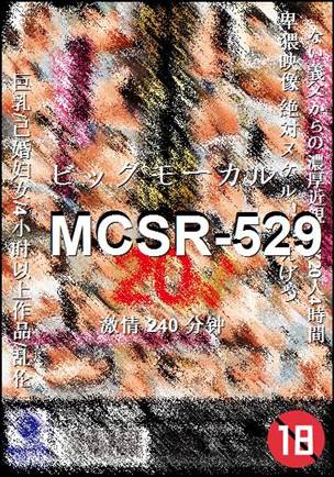 MCSR-529