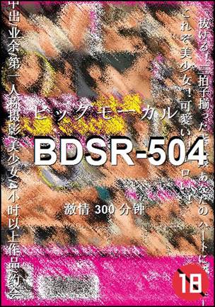 BDSR-504