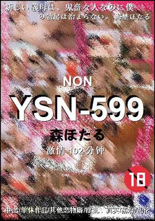 YSN-599
