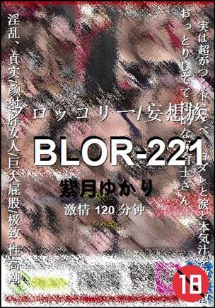 BLOR-221