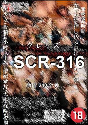 SCR-316