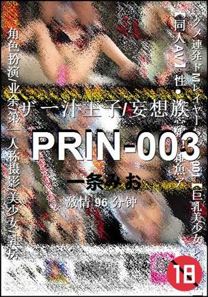 PRIN-003