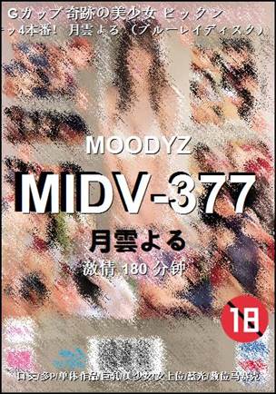 MIDV-377