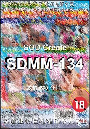 SDMM-134