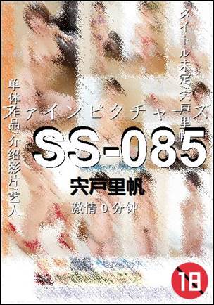 SS-085
