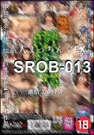 SROB-013