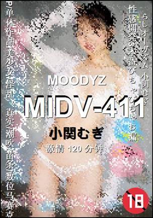 MIDV-411