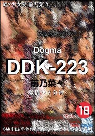 DDK-223