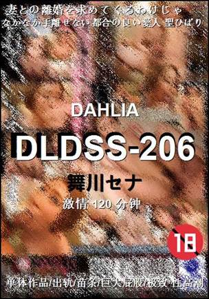 番号DLDSS-206种子