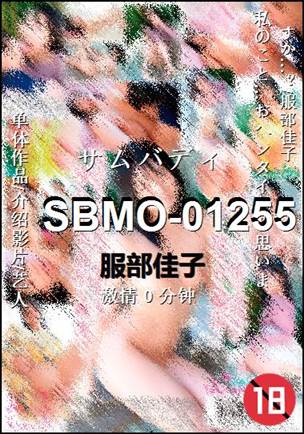 SBMO-01255