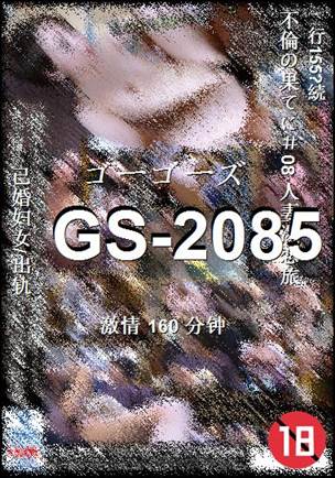 GS-2085