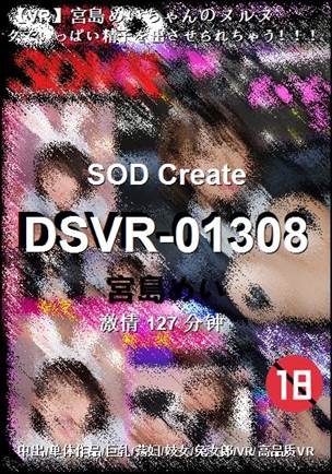 DSVR-01308