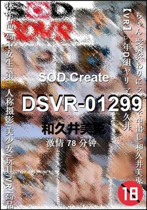DSVR-01299