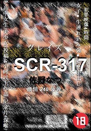 SCR-317