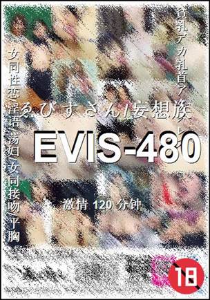 EVIS-480