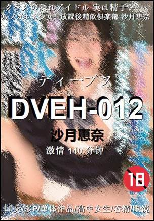 DVEH-012