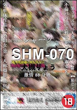SHM-070