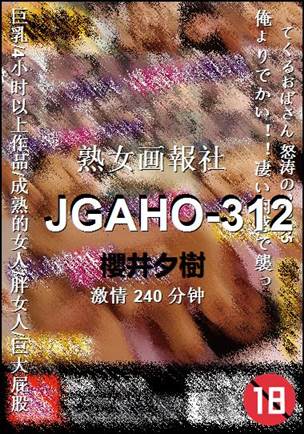 JGAHO-312
