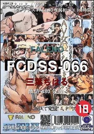 FCDSS-066