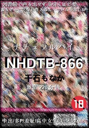 番号NHDTB-866种子