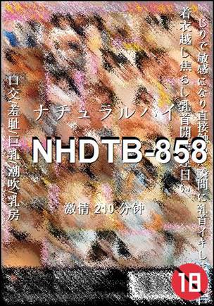 NHDTB-858