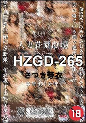 HZGD-265