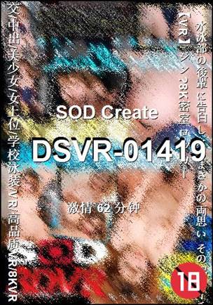 DSVR-01419
