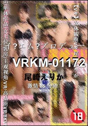 VRKM-01172