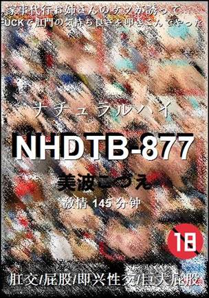 NHDTB-877