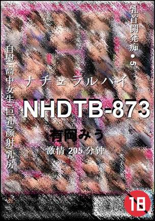 NHDTB-873