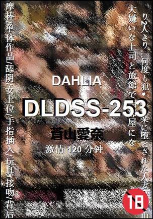 DLDSS-253