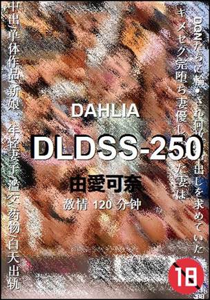 DLDSS-250