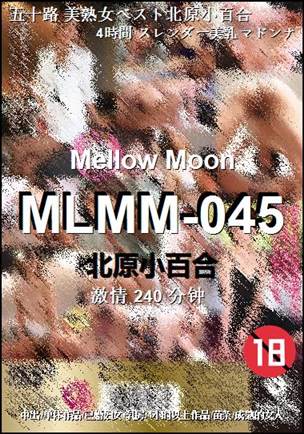 MLMM-045