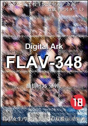 FLAV-348