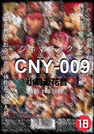 CNY-009