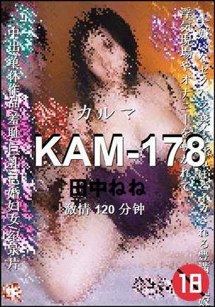 KAM-178