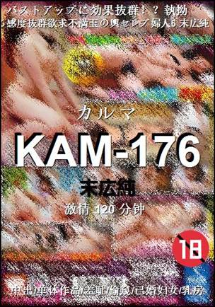 KAM-176