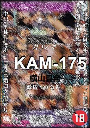 KAM-175
