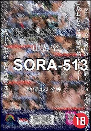 SORA-513