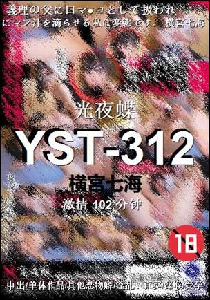 YST-312
