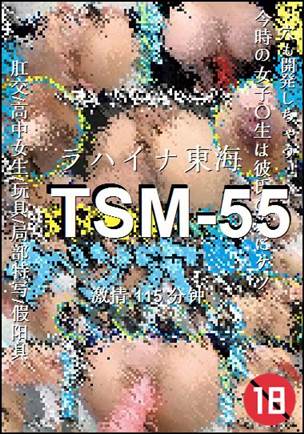 TSM-55