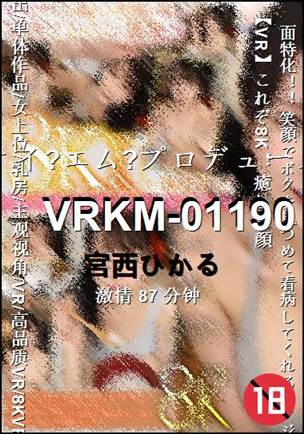 VRKM-01190