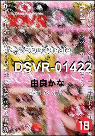 DSVR-01422