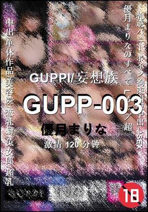 GUPP-003