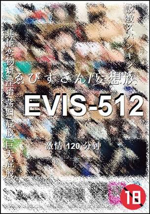 EVIS-512