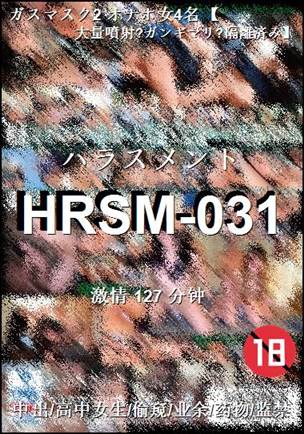 HRSM-031