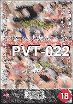 PVT-022