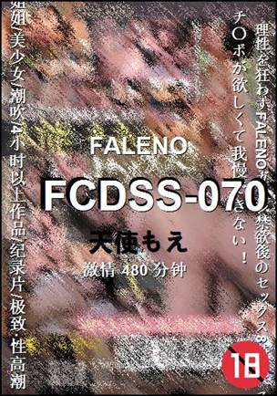 FCDSS-070