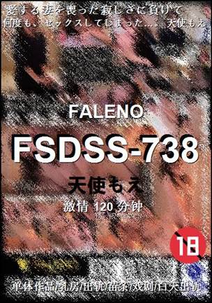 FSDSS-738