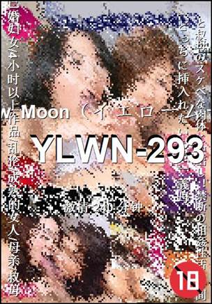YLWN-293